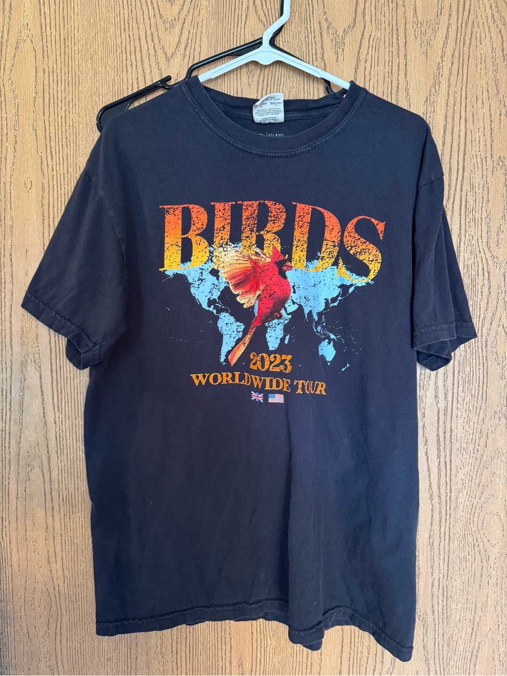Comfort Colors BIRDS 2023 Tee — Black with Red/Orange Bird